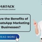 What Are the Benefits of Bulk WhatsApp Marketing for Businesses?